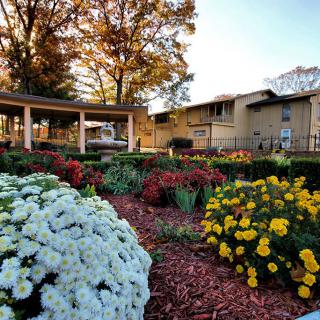 A beautifully landscaped garden with colorful flowers in front of a large building.