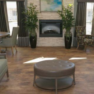 A cozy living room featuring a central fireplace, surrounded by plants and comfortable seating.