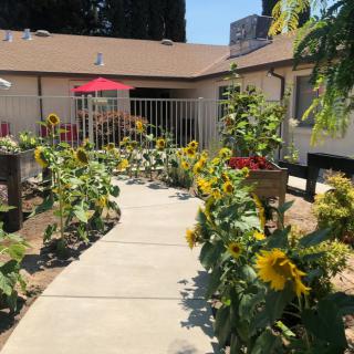 A sunny garden pathway lined with vibrant sunflowers leading to a cozy patio.