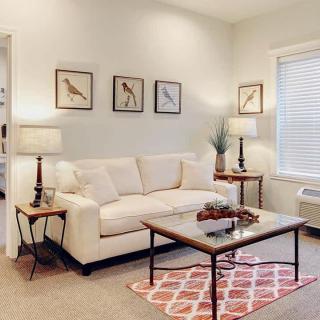 A cozy living room with a beige sofa, decorative pillows, and a wooden coffee table on a patterned rug. The walls are adorned with framed bird illustrations and two matching lamps provide warm lighting.