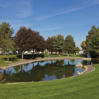 Brookdale Canyon Lakes