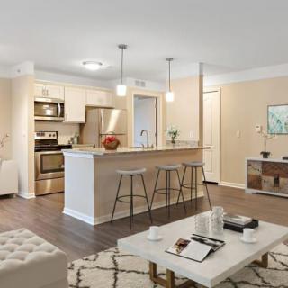 Modern open-concept kitchen and living room with elegant furnishings.