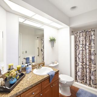 A well-lit bathroom with a decorative shower curtain and neatly arranged toiletries.