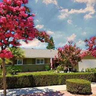A suburban house with blooming trees and well-maintained landscaping under a blue sky with scattered clouds.
