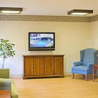 A cozy living room with a television mounted on the wall above a wooden cabinet, surrounded by comfortable seating and a potted plant.