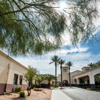 A sunlit building surrounded by desert vegetation and palm trees.