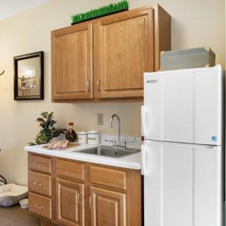 A compact kitchen setup with wooden cabinets, a white refrigerator, and a sink area.