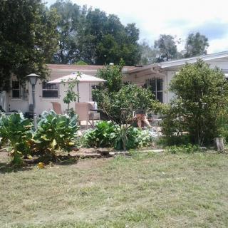 A backyard garden with lush greenery and a view of the house.