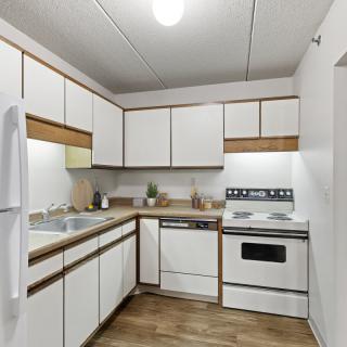 A modern kitchen with white cabinets, a stove, oven, and dishwasher.