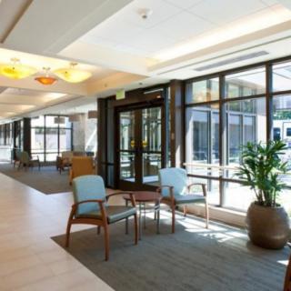 A bright and modern lobby with chairs arranged near large windows, allowing natural light to illuminate the space.