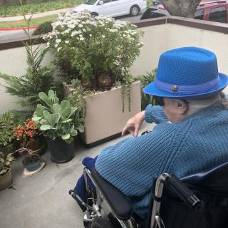 A person in a blue hat sitting in a wheelchair, enjoying a small garden area with various plants.