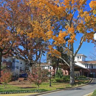 A residential building surrounded by vibrant autumn trees under a clear blue sky.