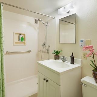 A clean and modern bathroom with a shower, sink, mirror, and decorative plants.