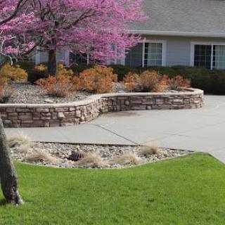 A beautifully landscaped garden with a stone wall, vibrant pink tree, and well-maintained lawn in front of a residential house.