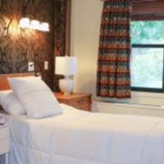 A cozy bedroom with a single bed, lamp, and window with curtains.