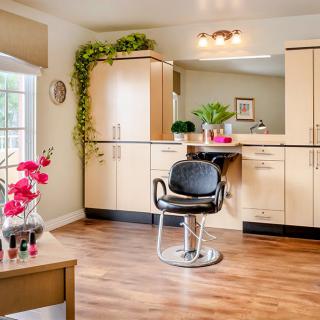 A modern hair salon interior featuring a styling chair and cabinets, adorned with plants and decorative elements.