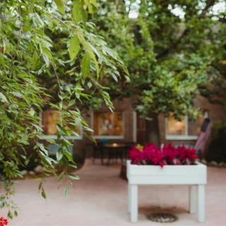 A peaceful garden scene with lush greenery and vibrant flowers.