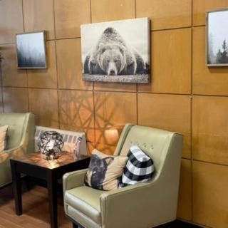 Cozy waiting area with comfortable chairs and nature-themed artwork on wood-paneled walls.
