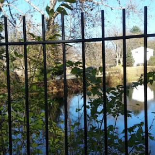 A serene view of a pond framed by a black fence and surrounded by lush greenery under a clear blue sky.