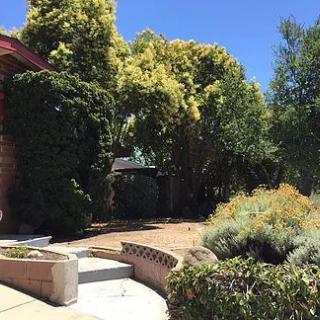 A serene garden with lush trees and well-manicured landscaping under a clear blue sky.