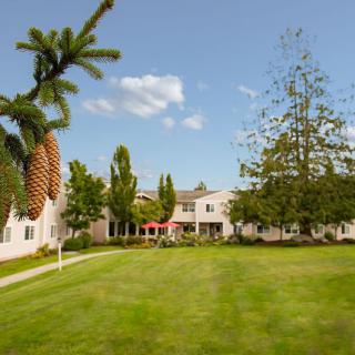 A peaceful residential area with a well-maintained lawn and surrounding trees under a clear blue sky.