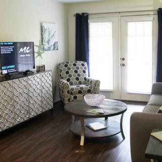 A cozy living room with modern furniture and decor, featuring a sofa, patterned armchair, and a TV.