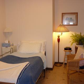 A cozy room featuring a hospital bed with blue and white bedding, a lamp, a chair, and a plant.