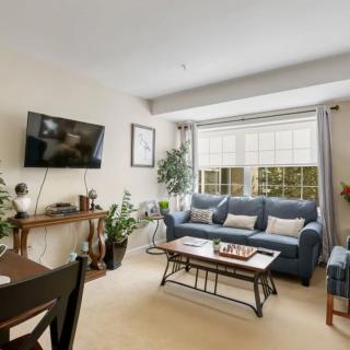 A cozy living room with a sofa, TV, coffee table, and plants near a large window.