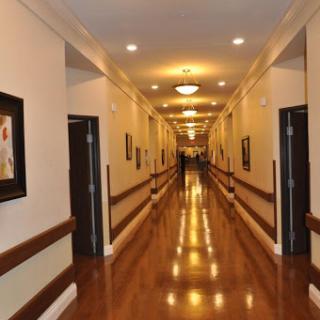 A well-lit corridor showcasing elegant designs and art on the walls.