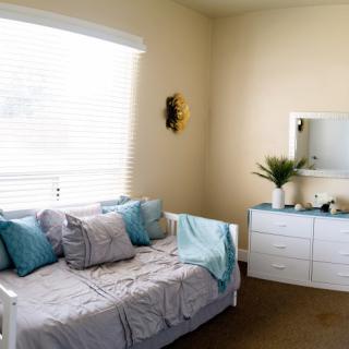 A cozy and well-lit bedroom featuring a daybed with pillows, a dresser with a mirror, and a decorative plant.