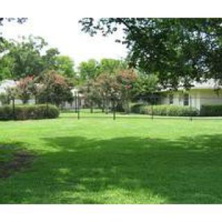 A well-maintained lawn with trees and shrubs on a sunny day.