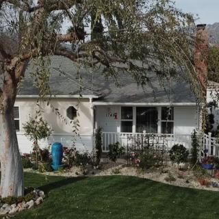 A charming suburban house with a well-maintained lawn and garden, featuring a large tree in the front yard.