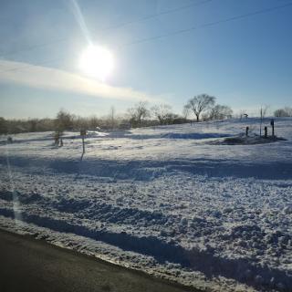 A beautiful winter landscape bathed in sunlight, featuring a snowy field and trees.
