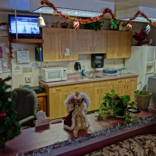 A reception area decorated for the holidays with festive garlands, a Christmas tree, and plants on the counter.
