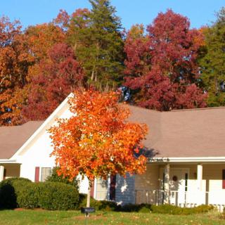 A house surrounded by vibrant autumn foliage and colorful trees.