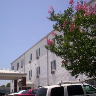 A white building with a tree and pink flowers in the foreground, and cars parked nearby.