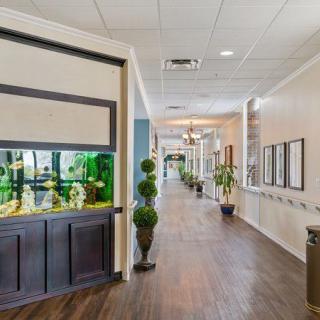 A well-decorated hallway featuring an aquarium and stylish plants along the walls.
