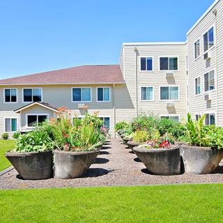 A residential building with a garden featuring large potted plants along a pathway.
