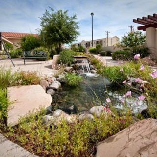 A serene garden featuring a tranquil pond with flowing water, surrounded by lush greenery and blooming flowers.