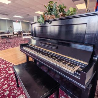 An upright piano in a carpeted room with decorative plants on top.