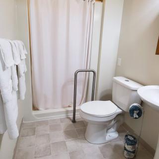 An accessible bathroom with a toilet, sink, and shower equipped with a handrail.