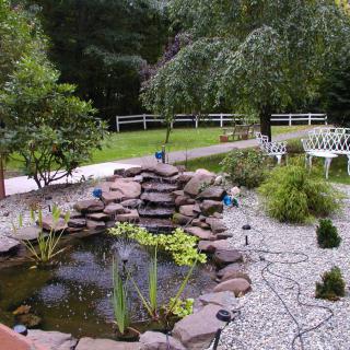 A tranquil garden setting featuring a pond surrounded by stones and lush greenery.