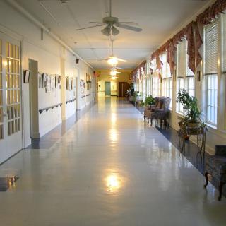 A well-lit, empty hallway with windows, decorated with plants and chairs along the sides.
