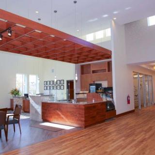 A modern reception area featuring wood accents and abundant natural light.