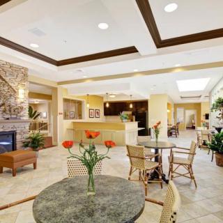 A modern hotel lobby with a reception desk, seating area, and decorative plants.