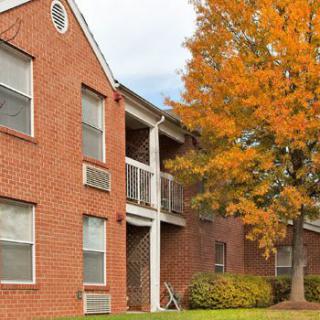 A brick apartment building with balconies, surrounded by autumn foliage.