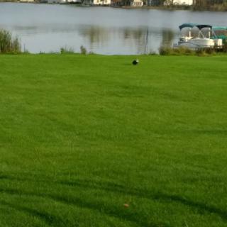 A scenic view of a grassy field leading to a lake with boats in the background.