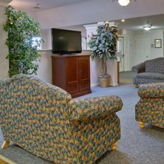 A cozy lobby with patterned armchairs, a television, and decorative plants.