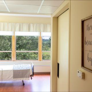 A serene view of a hospital patient room with natural light coming through the windows.