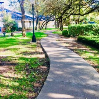 A serene outdoor pathway surrounded by greenery and trees.